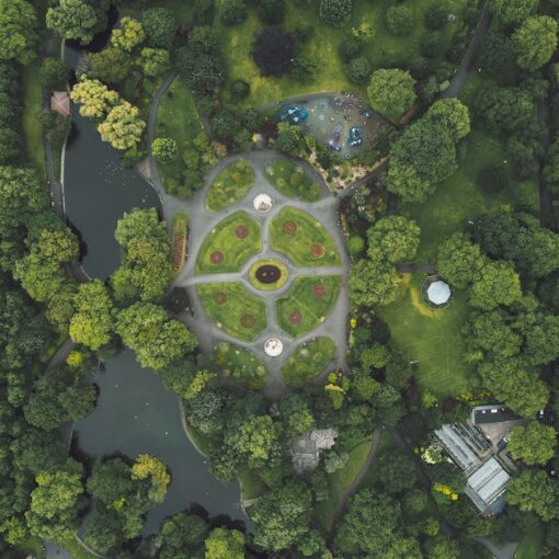 biodiversity in cities