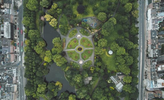 biodiversity in cities